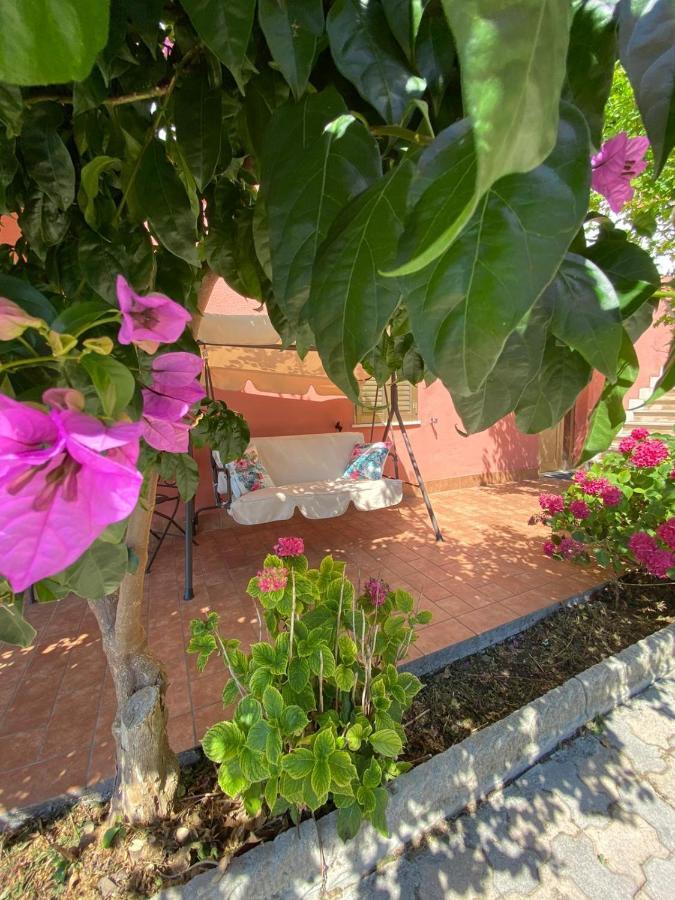 B&B Santa Lucia Silvi Paese 外观 照片
