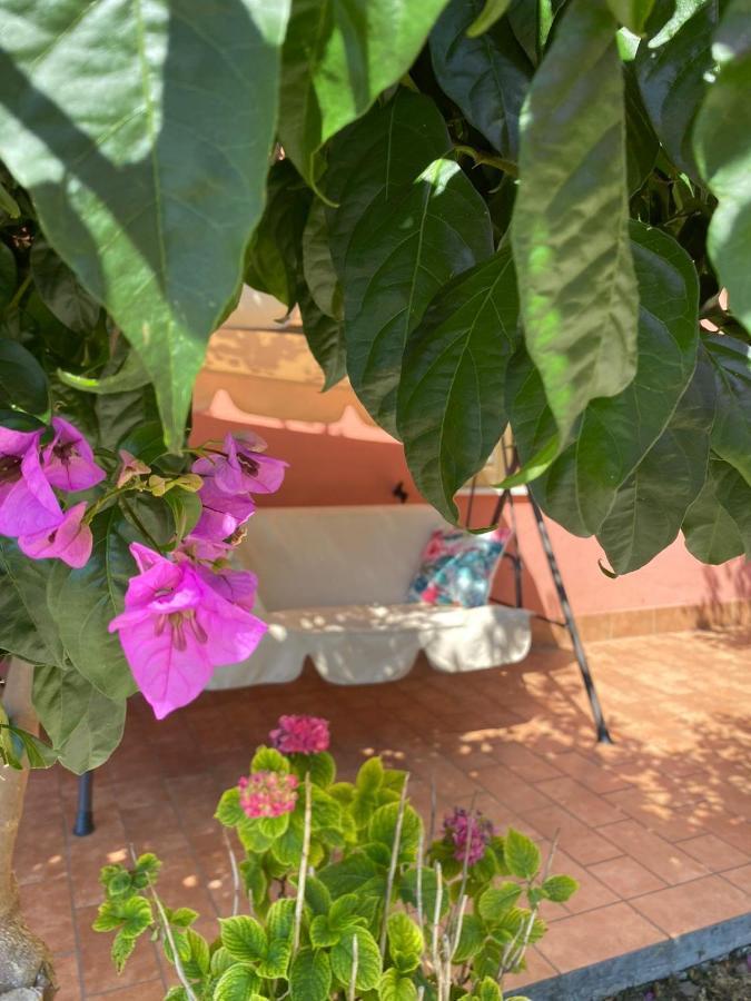 B&B Santa Lucia Silvi Paese 外观 照片