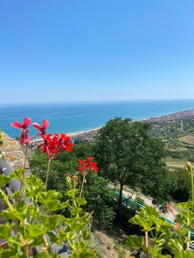 B&B Santa Lucia Silvi Paese 外观 照片